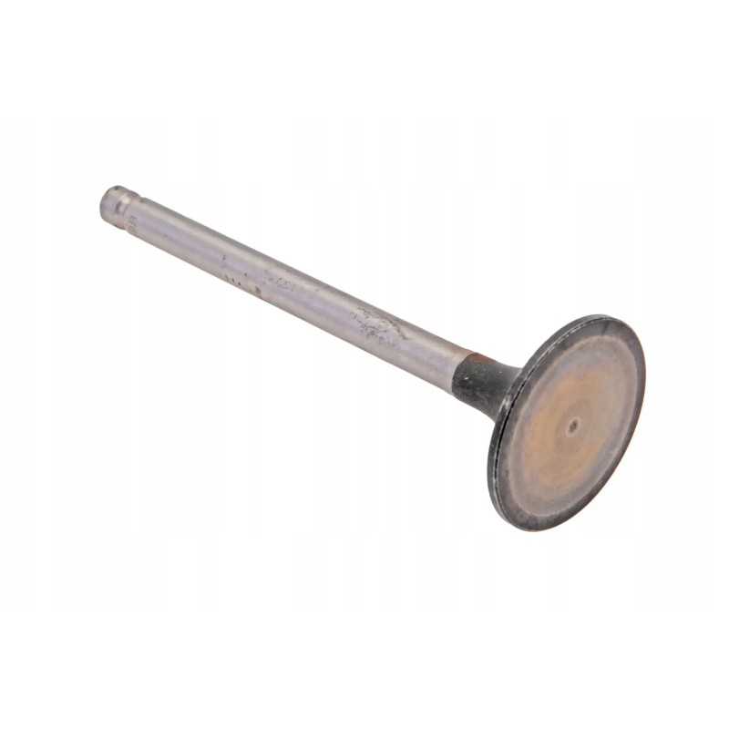 4l22bz 03005 įsiurbimo vožtuvas