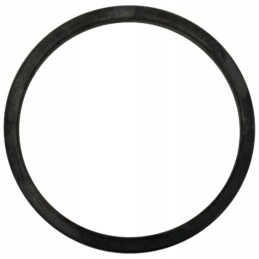 Dan Spicer sandarinimo žiedas