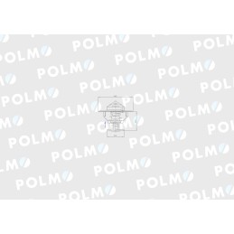 Termostatas 2856543 Steyr New Holland Case Polmo