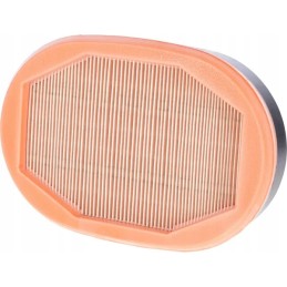 Vidinis oro filtras Massey Ferguson 4400
