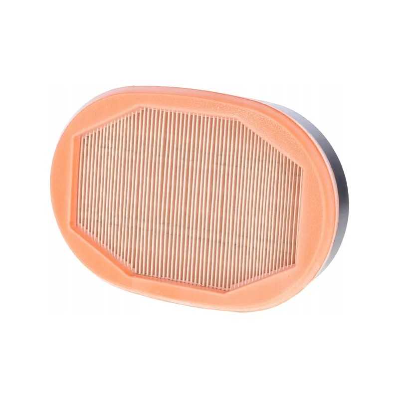 Vidinis oro filtras Massey Ferguson 4400
