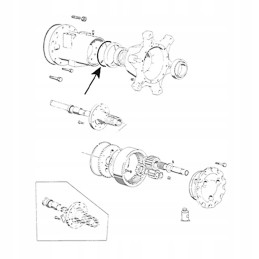 Massey Ferguson stebulės tarpiklis 394881x1