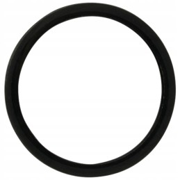 Dan Spicer sandarinimo žiedas