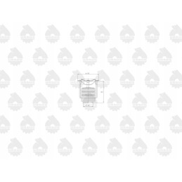 Silfono termostatas c 360 originalus ursus