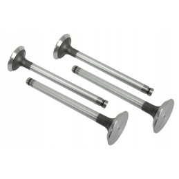 Vpa1110 išmetimo vožtuvas