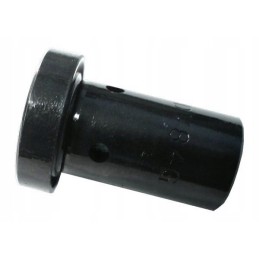 Įpurškimo siurblio vožtuvas c 330 p178640 dv24 wzm