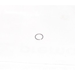 Dujinio guolio apsauginis žiedas