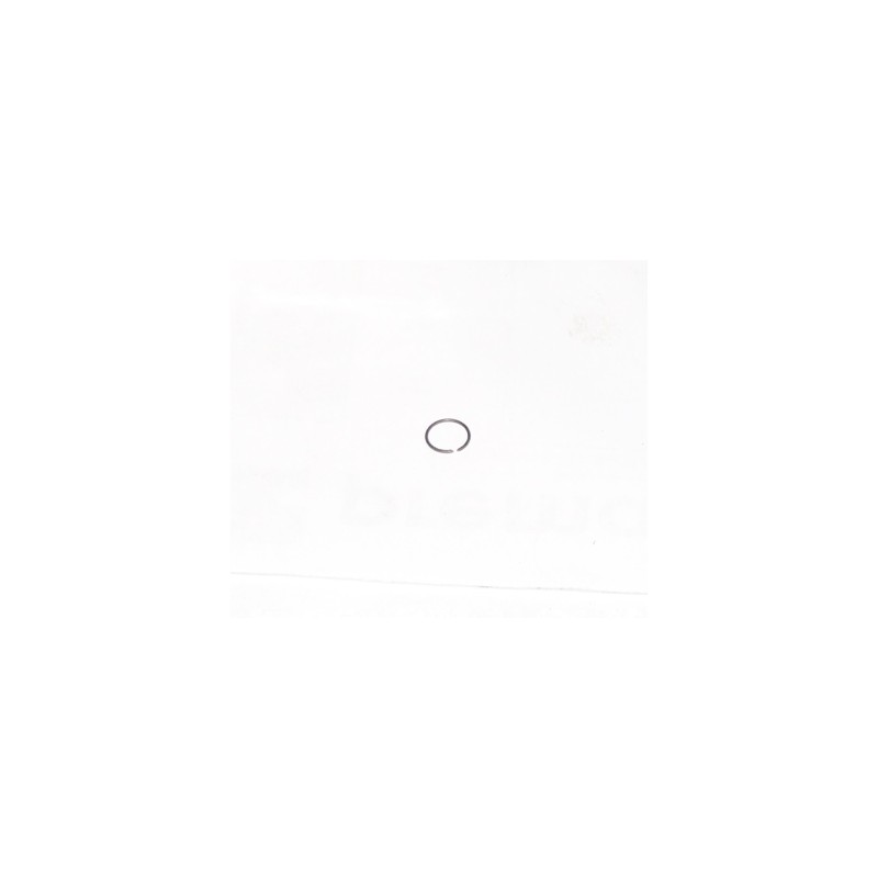 Dujinio guolio apsauginis žiedas