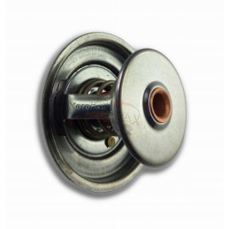 Termostatas 79 Zetor 5211 7745 originalus 70011316