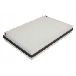 Fleetguard AF55753 salono filtras