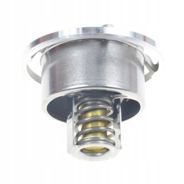 Variklio termostatas fendt f340200610020 originalus