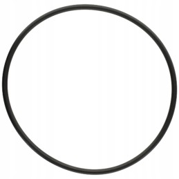 Oring 5450634349606 f824100090580 zf