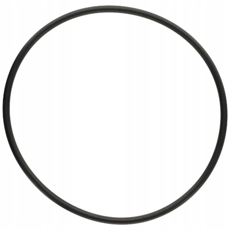 Oring 5450634349606 f824100090580 zf