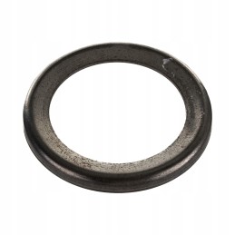 Dangtis 36x50x5mm massey ferguson 1823595m1