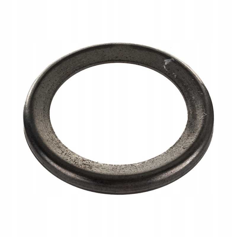 Dangtis 36x50x5mm massey ferguson 1823595m1