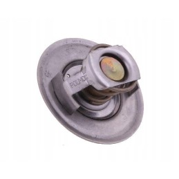 Termostatas 895311h1 David Brown korpusas polmo