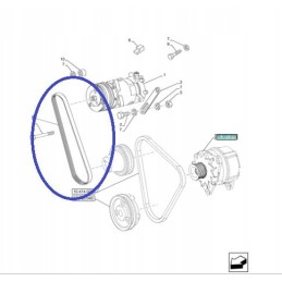 Oro kondicionieriaus kompresoriaus diržas 84370634 new holland cn
