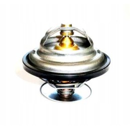 Termostatas Zetor Forterra 78005077