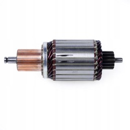 SM2841 starterio rotorius tinka 385 101