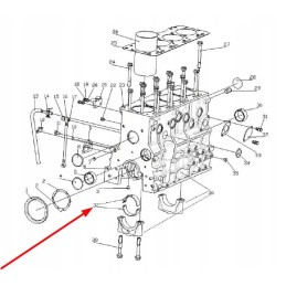 495b 01033a acetabulum