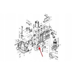 495b 01033a acetabulum