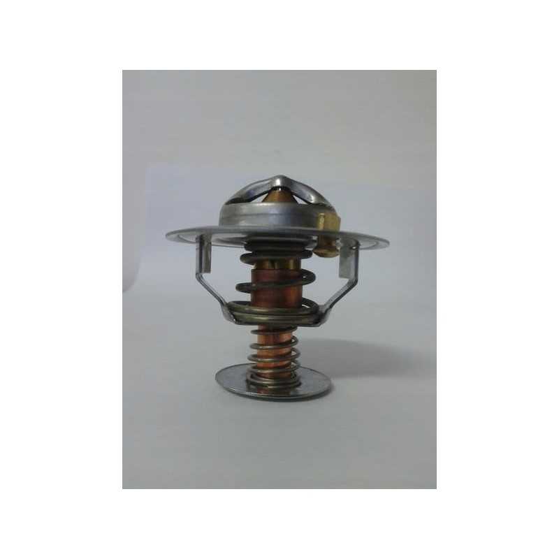 Aušinimo skysčio termostatas thermotec d2ca002tt