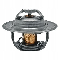 Termostatas ford 83913835