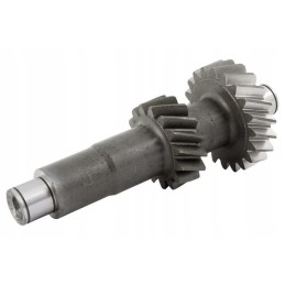 26900086121007 dviguba atbulinės eigos pavara