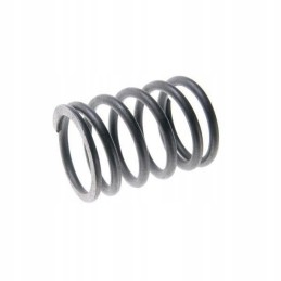 Vožtuvo spyruoklė, išorinė 80005013 c 385 8900550