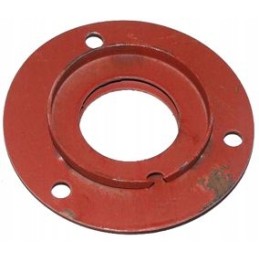 Didelis dangtis su skylute, pagamintas iš lenkiško