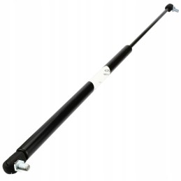 Galinio lango dujų pavara 3000 serija 3389556m2