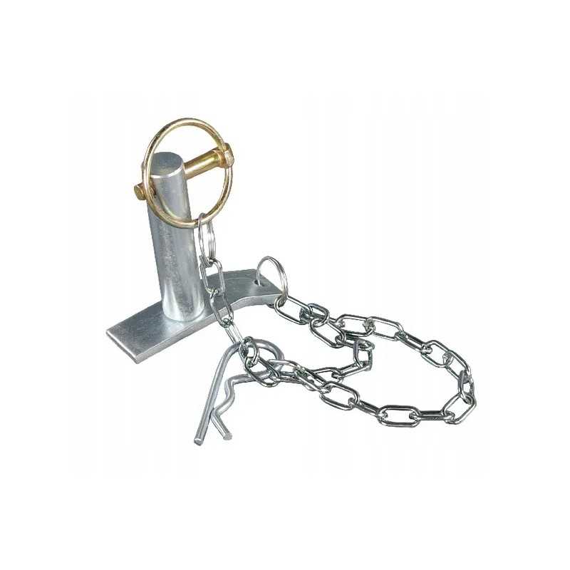 Pakabos kaištis 19x69 mm