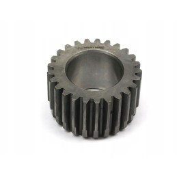 Centrinis sukimo momento daugiklio C 385 Warynski ratas