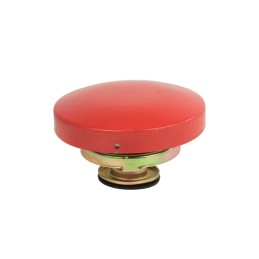 Radiatoriaus dangtelis 1698042m91 mf3 1874445m93