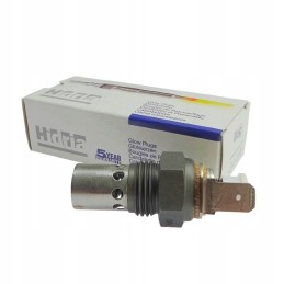 Uždegimo žvakė Steyr New Holland 4176086 4037017 t