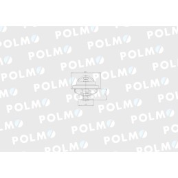 Termostatas 4224639m1 landini polmo