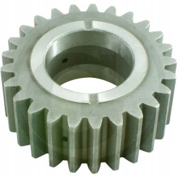 C 385 ritininis palydovas ir jo dariniai