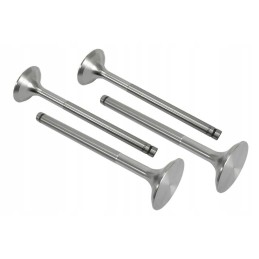 Vpa1200 įsiurbimo vožtuvas