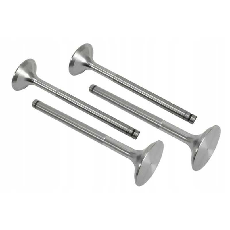 Vpa1200 įsiurbimo vožtuvas