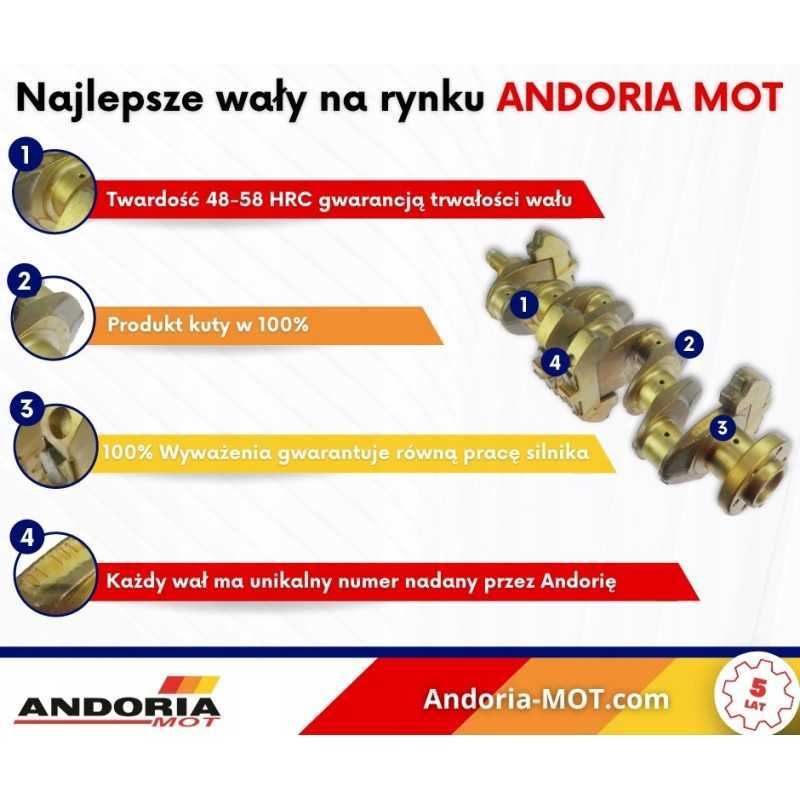 Kaltas, grūdintas alkūninis velenas mf4 andoria mot