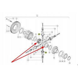 769895 0 žiedinė pavara d125 x 97 5