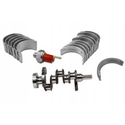 Alkūninio veleno guolių rinkinys c 360 3p mf 235 255 3512