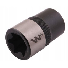 Žvaigždės lizdas 1 2 e22 crv50bv30 warynski w