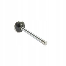 Išmetimo vožtuvas wladimirec t 25 andoria mot