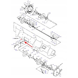 D28250566 sraigės pirštas