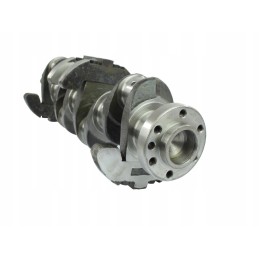 C360 alkūninis velenas su atsvara 46 40 399 2 46403992