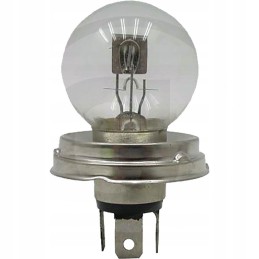 Flanšinė lemputė 12v 45 40w