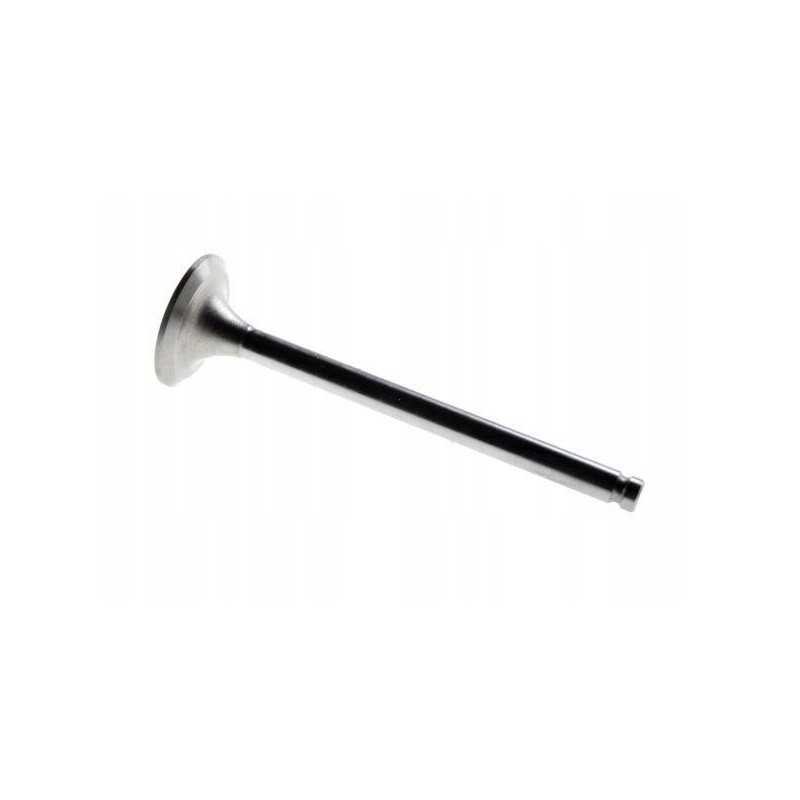 Išmetimo vožtuvas mf