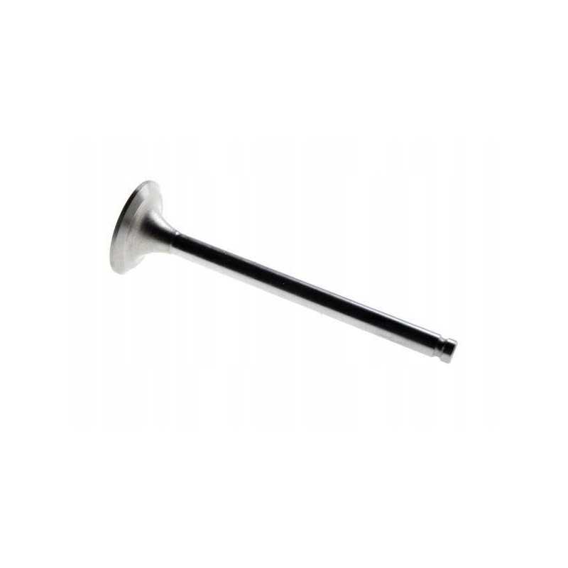 Išmetimo vožtuvas mf