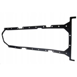 Alyvos kasetės tarpiklis 6 cil. C 385 Čekų